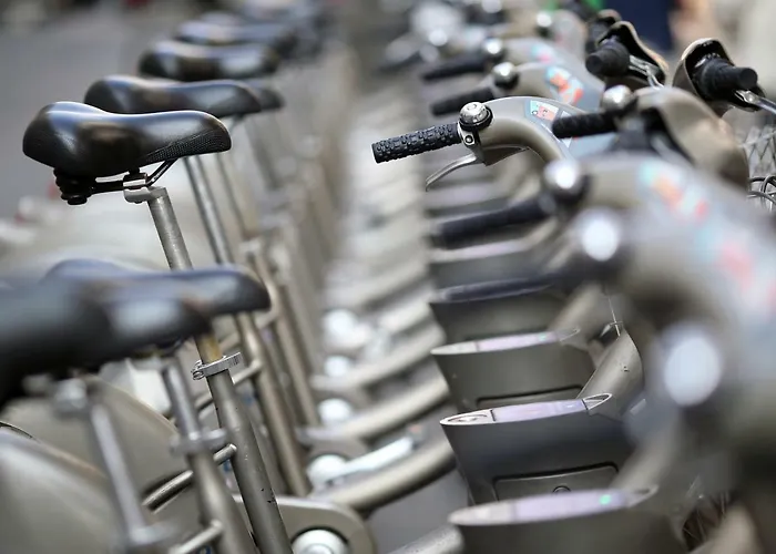 Nest In Saint-michel *